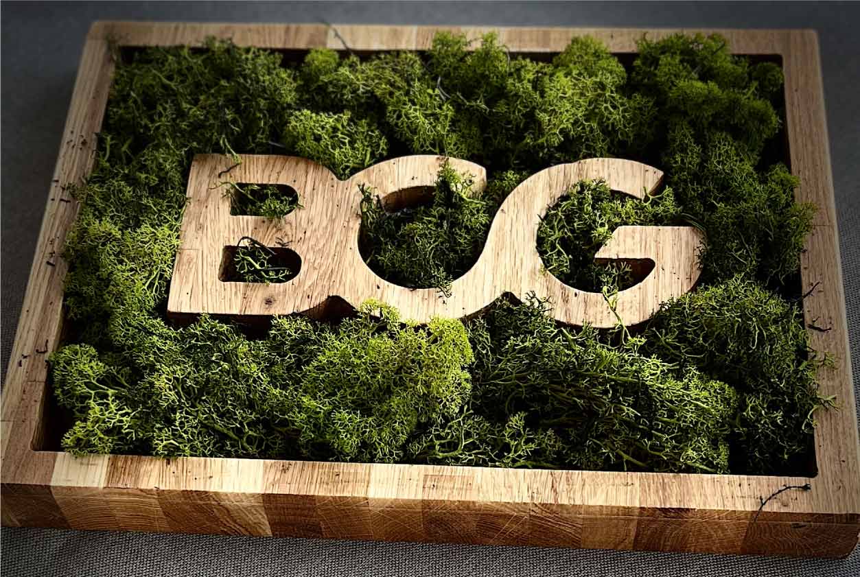 Bcg Corporeos 1 Reconocer 2 1448 | RECONOCER SL